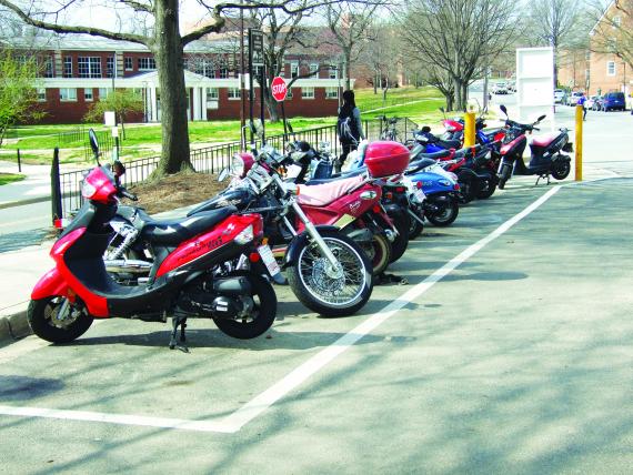 motor cycles lined up